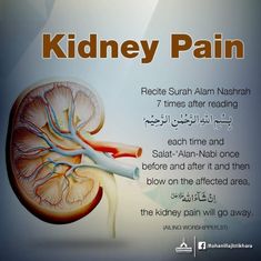 kidney pain poster with caption in english and arabic