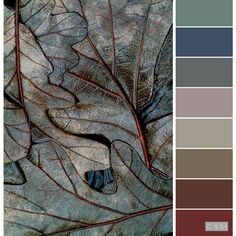 the color palette is brown, blue, and green with some red leaves on it