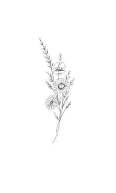 a drawing of some flowers on a white background