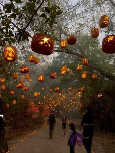 people walking down a path covered in lanterns