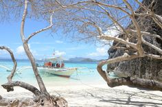 a boat is on the beach near some trees