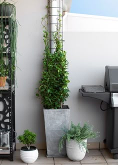 three potted plants on the side of a building next to a keyboard and grill