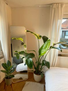 there is a mirror and some plants on the floor in front of a bed with white sheets