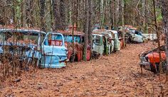 an old car graveyard in the woods with rusted out cars and trees around it