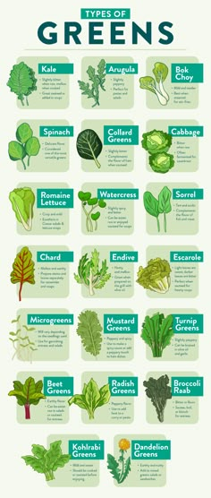 the different types of green plants and their names