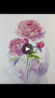 a painting of three pink flowers on a white background with the words, how to paint watercolor peonies