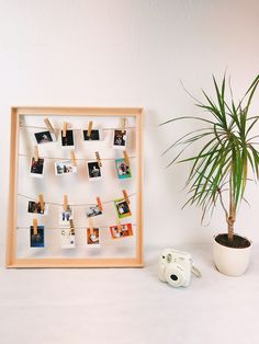 a wooden frame with photos hanging on clothes pegs next to a potted plant