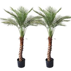 PRICES MAY VARY. 🌳THE BEST ARTIFICIAL TREE DECOR: This artificial palm tree is carefully designed and crafted, each leaf is also exquisitely crafted to resemble the real details, so it decorates the room just like a real tree. Our artificial tree palm leaves with clear textures and bright colors will definitely make you feel the existence of nature. All seasons are green. 🌳SELECTED MATERIAL, BUILT TO LAST: These artificial tree leaves are made of durable and premium PE material, the stems and Artificial Tree Decor, Faux Palm Tree, Sago Palm Tree, Canary Island Date Palm, Fake Palm Tree, Tree Palm, Sago Palm, Palm Plant, Outside Patio