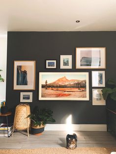 a living room with pictures on the wall and a dog sitting in front of it