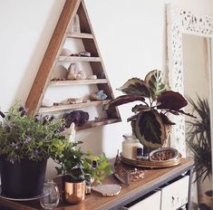 a wooden shelf with plants and other items on it