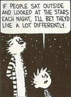 a comic strip with an image of two cats and the caption if people sat outside and looked at the stars each night, i'll be they live a lot differently