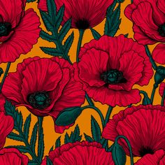 Red poppy garden , Raspberry Creek Fabrics Poppy Garden, Poppy Drawing, Poppy Art, Poppy Painting, Blue Poster, Red Poppy, Poppy Flower, Pattern Illustration, Patterns In Nature