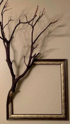 a bare tree with no leaves in front of a white wall and a gold frame hanging on the wall