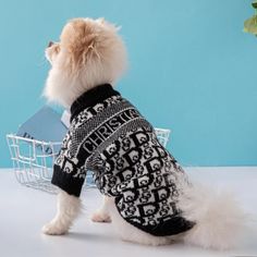 a small white dog wearing a black and white sweater sitting in front of a basket