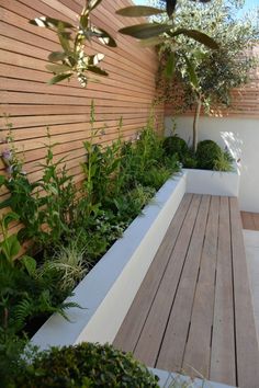 a wooden deck surrounded by plants next to a wall and tree in the middle with white planters