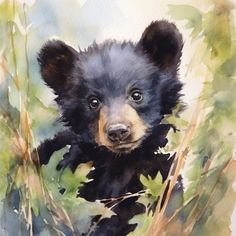 a watercolor painting of a black bear cub peeking out from tall grass and weeds