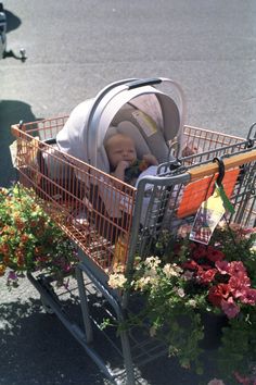 a baby sitting in a stroller on the side of the road next to flowers