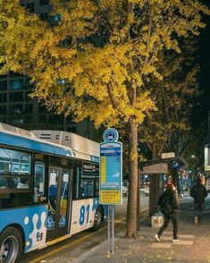 a blue and white bus parked on the side of a road next to a tree