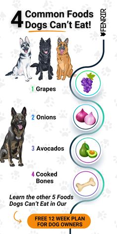 four different types of dog food are shown in this graphic diagram, which shows the number of