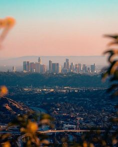 the city skyline is seen through some trees