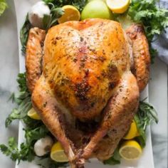 a roasted turkey on a white platter with lemons and parsley around it