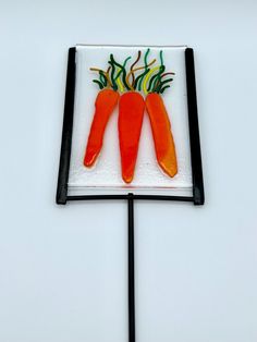 there are three carrots that are on the white plate and one is in the shape of a rectangle