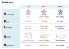 Pediatric Vital Signs Cheat Sheets, Pediatric Vital Signs, Newborn Assessment, Apgar Score, Stimulation Activities, Physical Therapy School, Doula Care, Postpartum Nursing