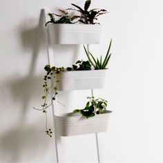 three white planters with plants in them on a shelf against a wall, one is leaning up and the other is down