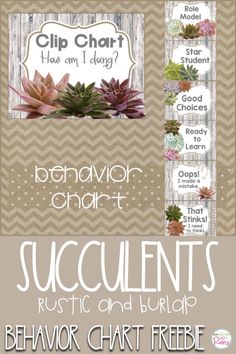 succulents and burlap behavior chart for kids to help them learn how to