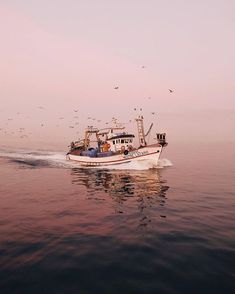 a fishing boat in the water with seagulls flying around