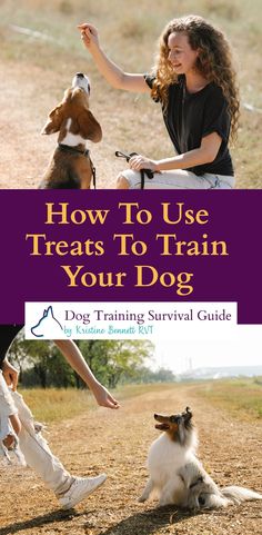 how to use treats to train your dog with the help of a trainer and guide