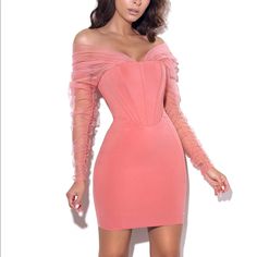 Nwt- Never Worn. Bought It For A Halloween Costume And Didn’t End Up Wearing It. It Is Very Pink In Person But Photographs More Coral/Orange Depending On The Lighting. Perfect Condition Pink Fitted Dress With Sheer Sleeves, Fitted Pink Dress With Sheer Sleeves, Pink Mini Dress With Sheer Sleeves For Evening, Corset Pink Dress, Miss Circle, Off Shoulder Evening Dress, Circle Dress, Paisley Dress, Evening Attire