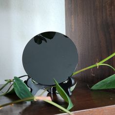 a round object sitting on top of a wooden table next to green plants and leaves