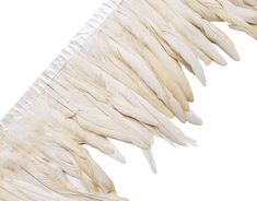 white feathers hang from the side of a long piece of paper that has been folded over