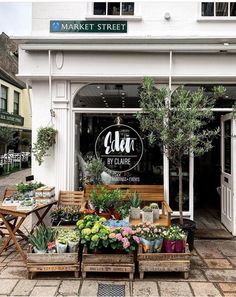 an outside view of a flower shop with potted plants on the tables and benches