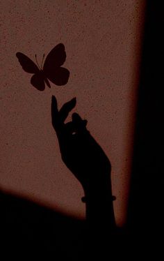 a person holding a butterfly in their hand with the shadow of it's wing