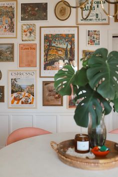 there is a potted plant sitting on the table in front of many framed pictures