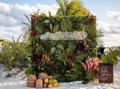 there is a sign that says happy birthday and tropical plants in front of the sign