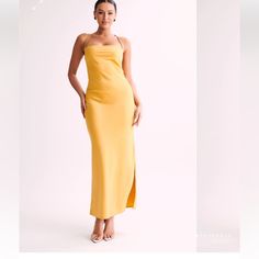 Nwt! Golden Yellow Yellow Sundress Midi Dress For Party, Chic Fitted Mustard Maxi Dress, Chic Mustard Maxi Dress For Party, Yellow Sundress For Evening, Chic Mustard Midi Dress For Party, Chic Mustard Maxi Dress For Brunch, Meshki Dresses, Backless Slip Dress, Rose Gown