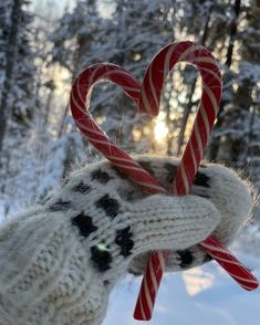 a hand holding two candy canes in the snow