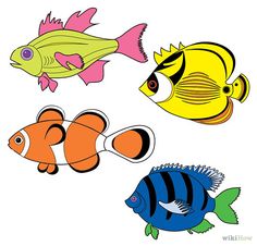 four different colored fish on a white background