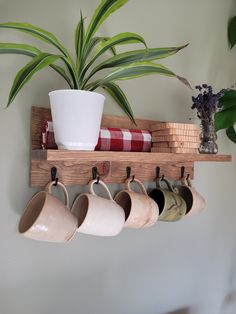 a potted plant sitting on top of a wooden shelf filled with coffee mugs