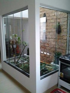 an indoor garden in the corner of a room next to a stove top oven and microwave