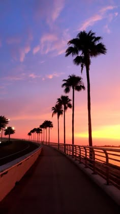 palm trees line the side of a road as the sun sets over the ocean behind them