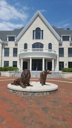 two statues of lions in front of a large white building