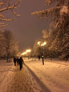 people walking down a snowy path at night