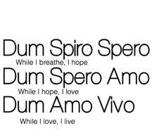 some type of font that is black and white with the words dum spiro spero