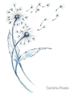 a drawing of a dandelion blowing in the wind