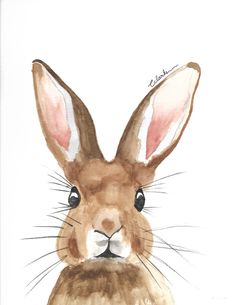 a watercolor painting of a rabbit's face