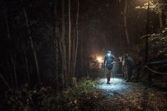 three people are walking through the woods at night